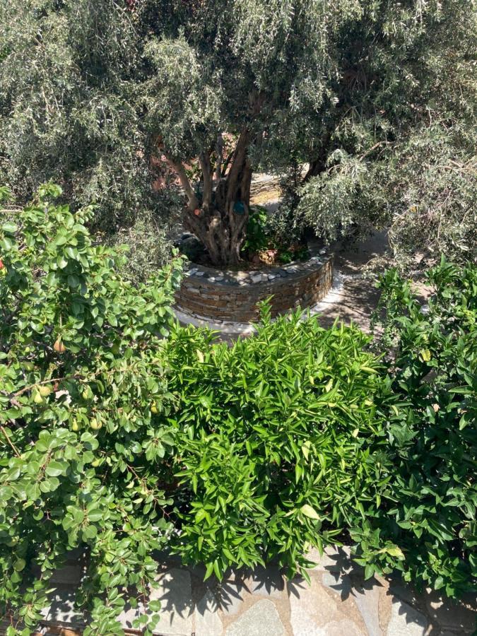 Agkyra Rooms Aladhinon Экстерьер фото